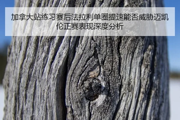 jia-na-da-zhan-lian-xi-sai-hou-fa-la-li-dan-quan-ti-su-neng-fou-wei-xie-mai-kai-lun-zheng-sai-biao-xian-shen-du-fen-xi-2-949.jpg